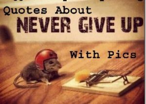 60 Most Inspirational Quotes About Never Give Up With Pictures