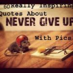 55 Most Inspirational Quotes About Never Give Up With Pictures