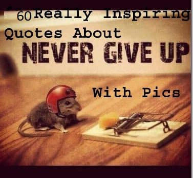 Never give up quotes images best pics