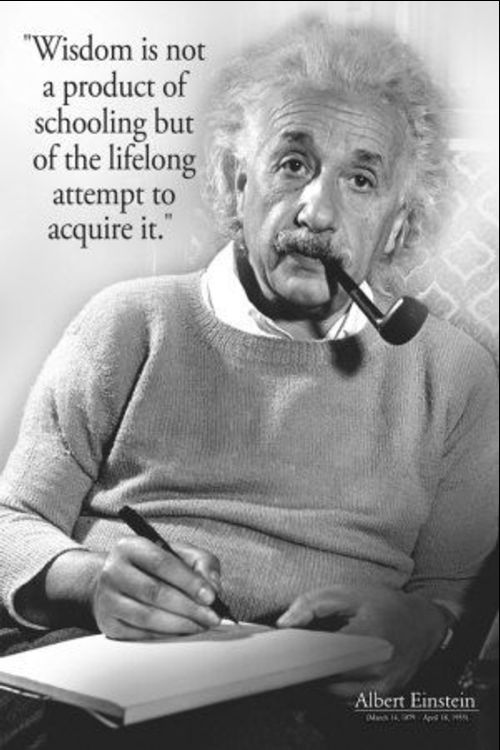 Albert Einstein Quotes sayings thoughts 45