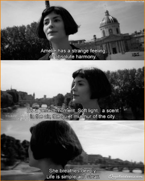 Best Amelie quotes