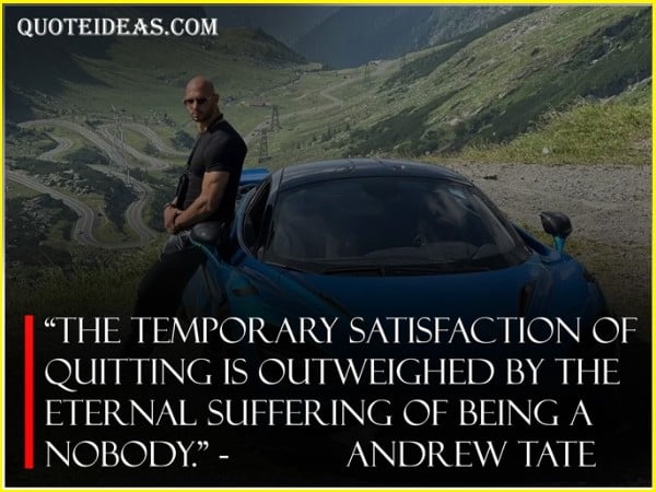 andrew tate quotes success