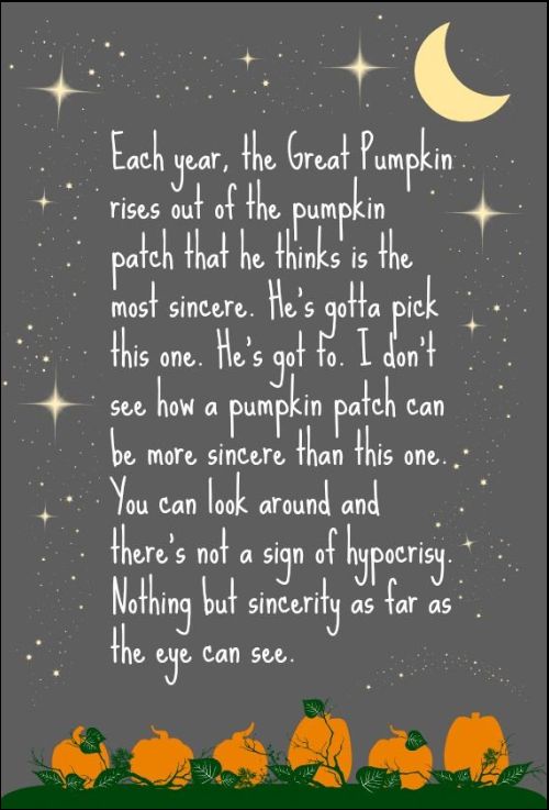 funny happy halloween quotes