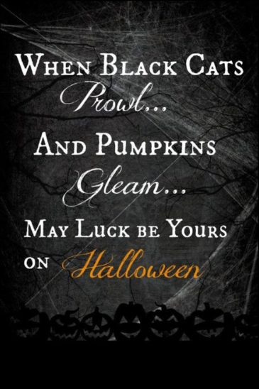 50+ Best Spooky Happy Halloween Quotes, wishes, Greetings And Sayings ...