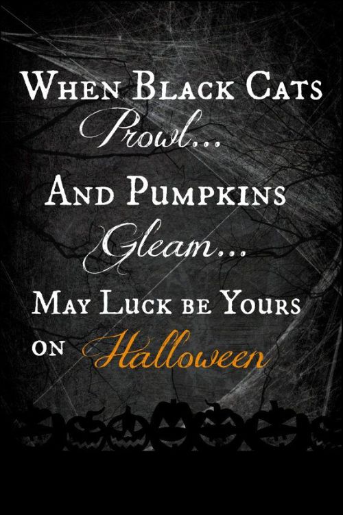 halloween funny quotes