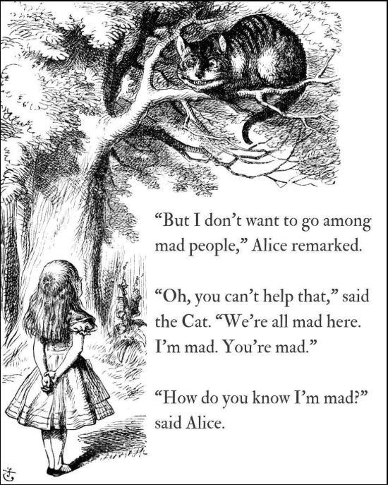 alice in wonderland quotes about madness