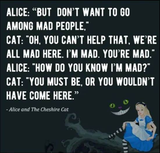 alice in wonderland quotes on madness