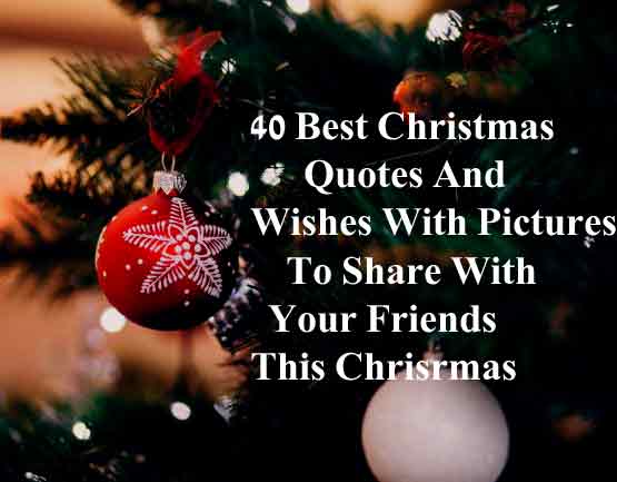 Best-christmas-quotes-wishe