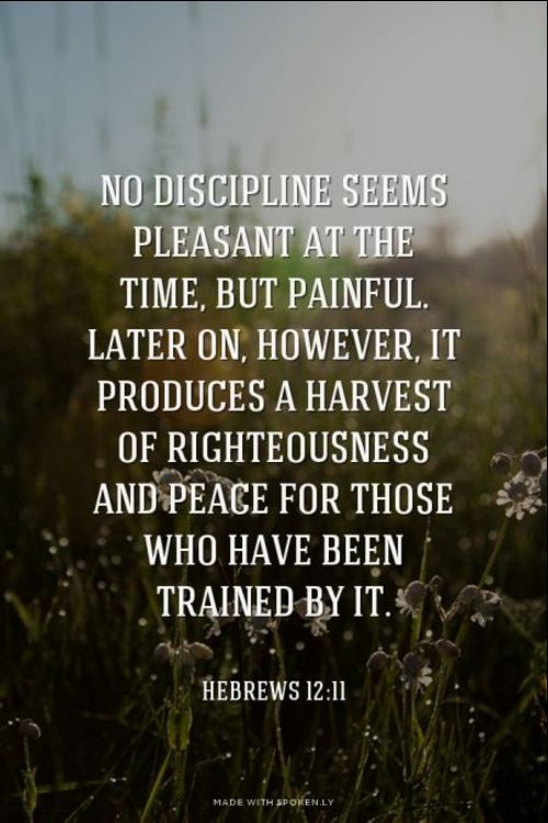 discipline quotes and sayings