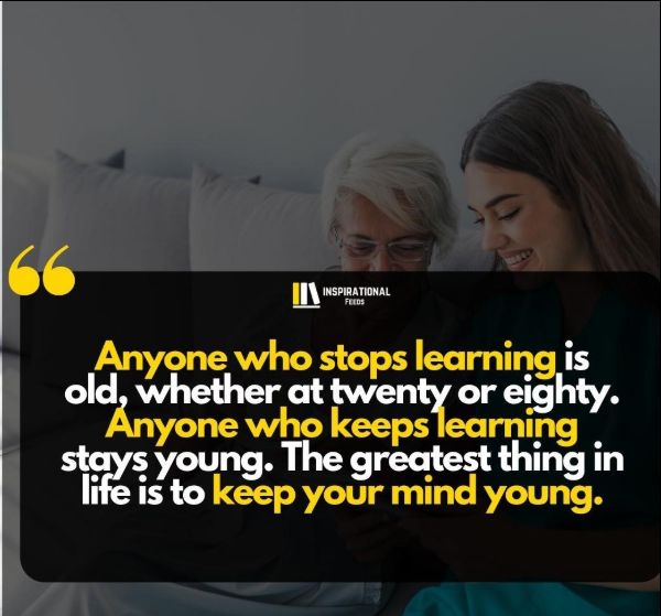 education quotes albert einstein