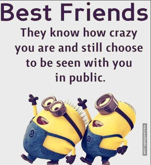 50 Best Friendship Quotes With Pictures To Share with Your Friends