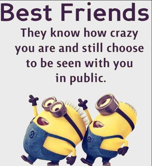 cute friendship quotes