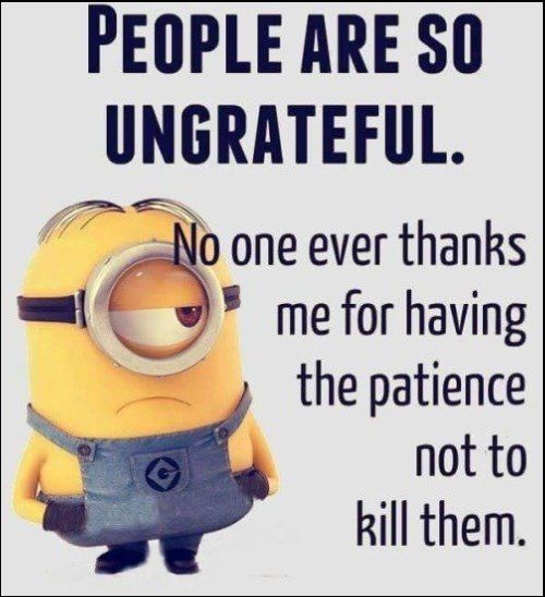 minion quotes love