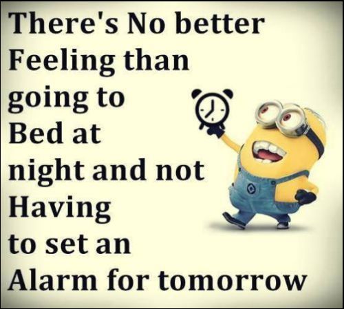 bob the minion quotes