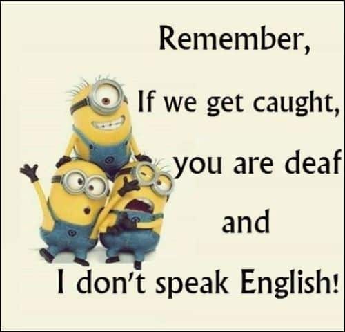 minion quotes