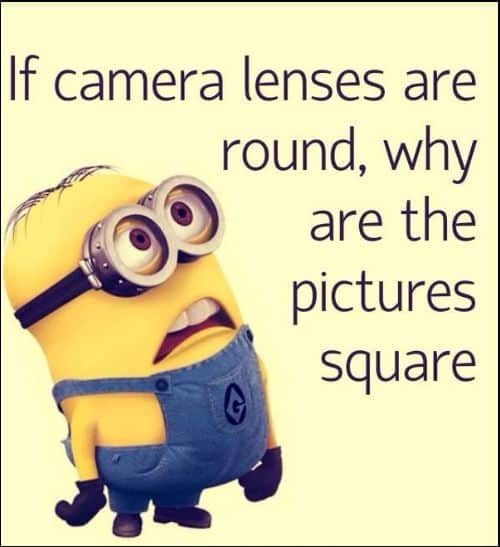 minion quotes for kids