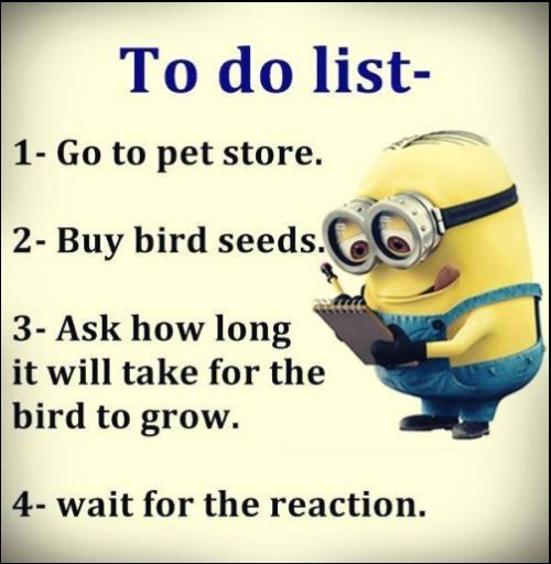 minion sayings