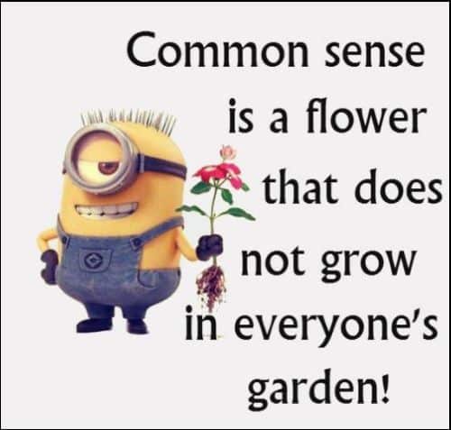 minion quotes funny