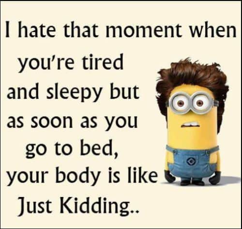 minion quotes facebook