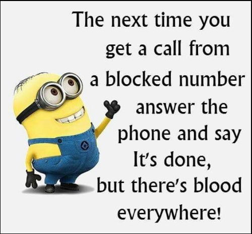 despicable me minion quotes