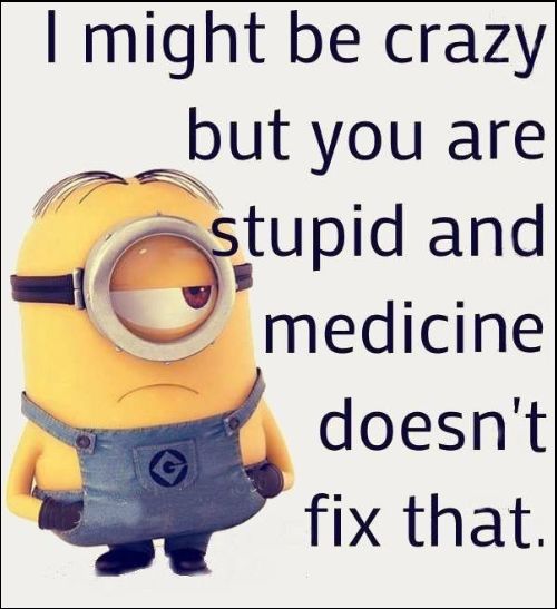 minion quotes about life