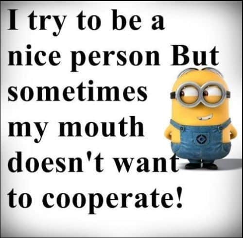 minion fans quotes