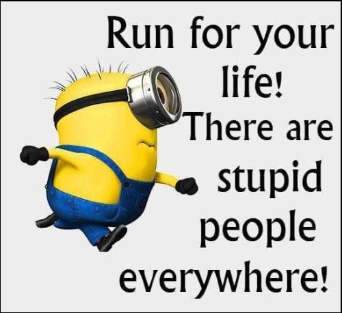 minion love quotes for her