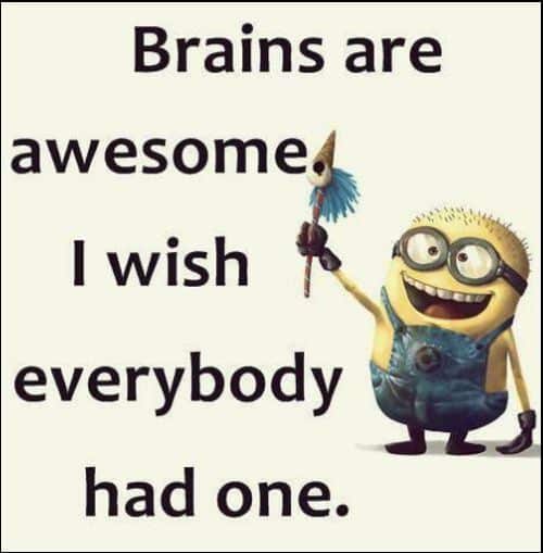 despicable me funny quotes