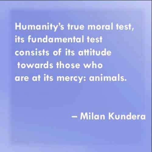 quotes on humanity and compassion