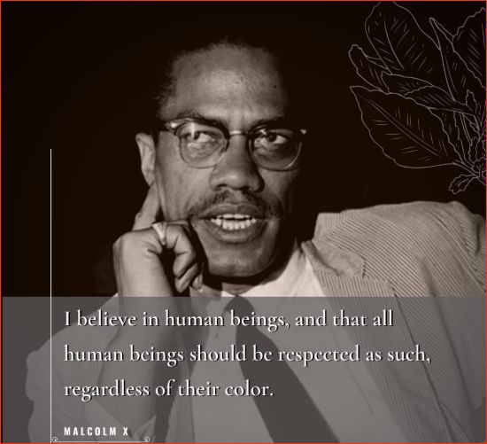 quotes by malcolm x