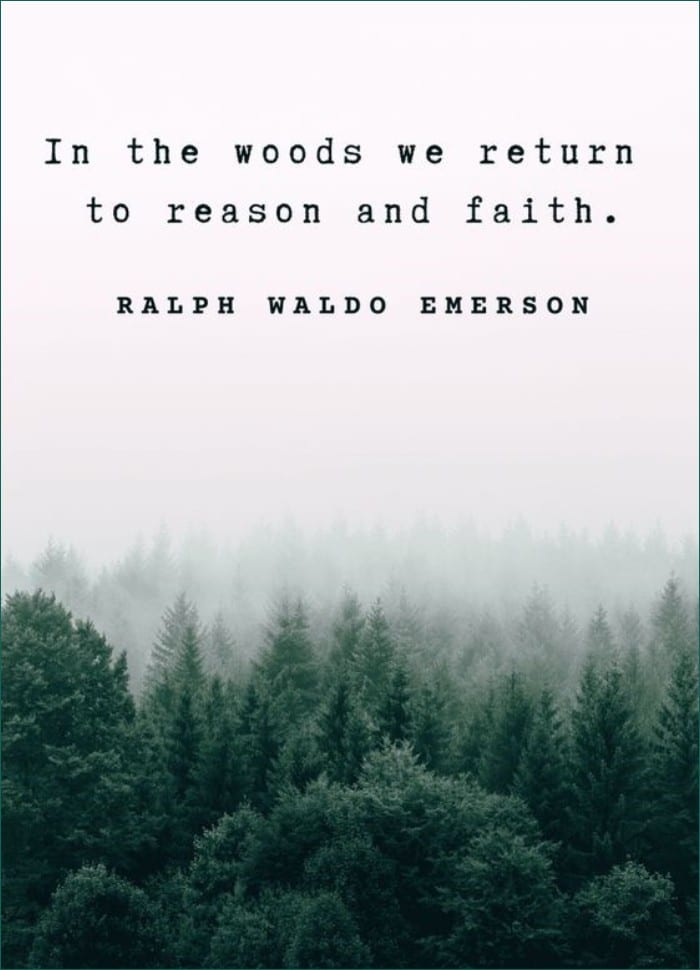 best nature quotes