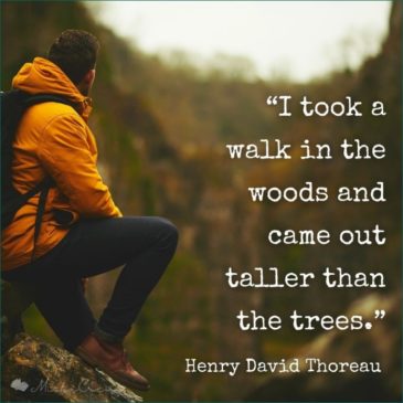 50+ Best Nature Quotes For Nature Lovers With Pictures