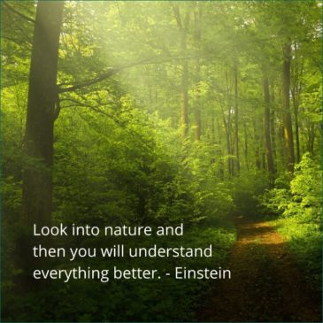 50+ Best Nature Quotes For Nature Lovers With Pictures