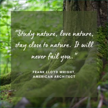 50+ Best Nature Quotes For Nature Lovers With Pictures