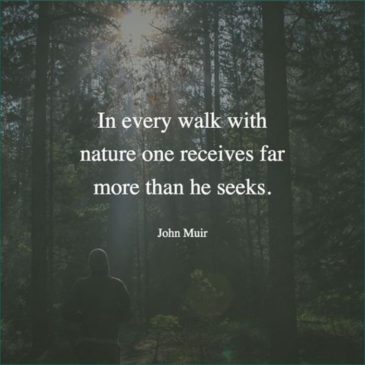 50+ Best Nature Quotes For Nature Lovers With Pictures