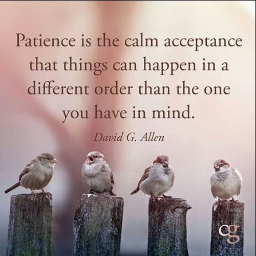 patience and kindness quotes
