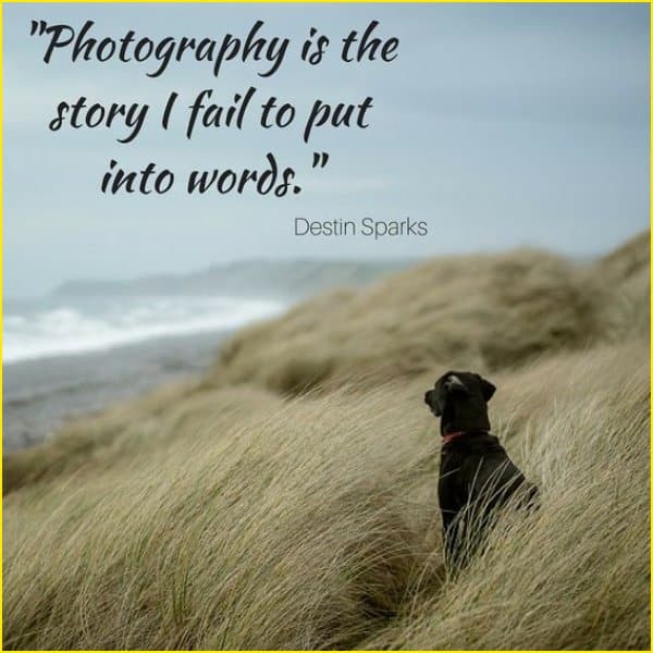 famous photography quotes