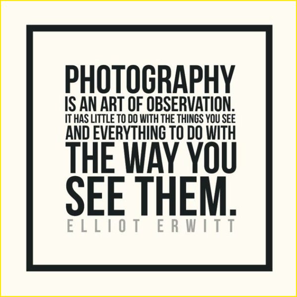 life photography quotes