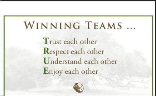 best team work quotes