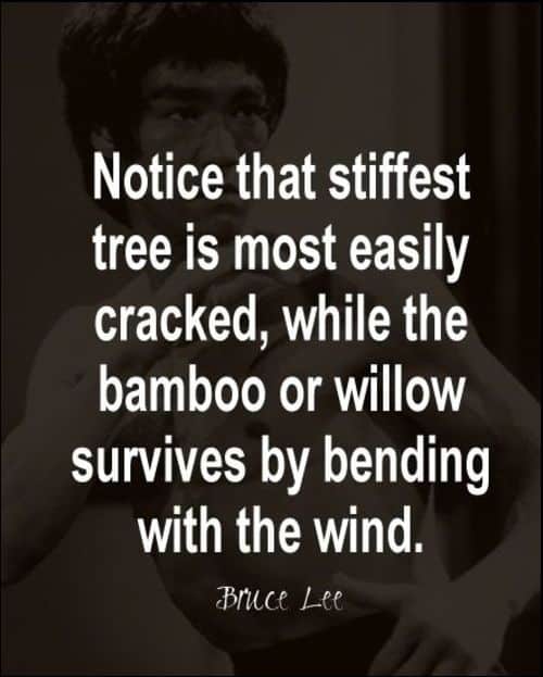 bruce lee quotes on success