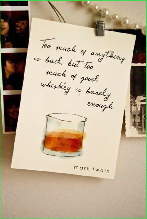 mark twain quotes twenty years from now