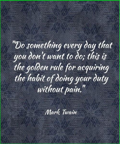 mark twain quotes work