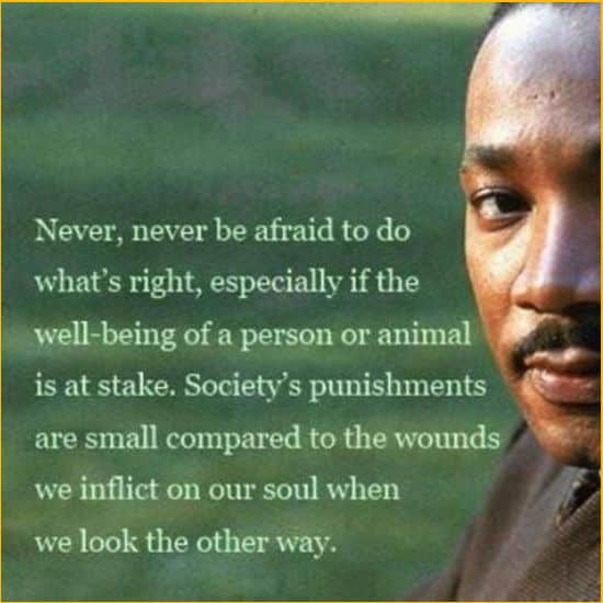 quotes martin luther king