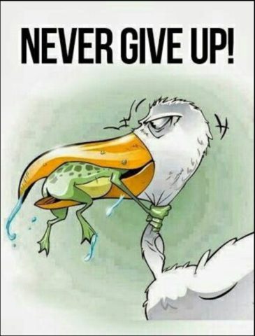 Never Give Up Quotes-55 Inspirational Quotes Which Help You Never Quit