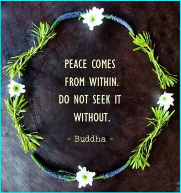 50 Great Peace Quotes About Life With Images