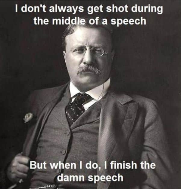 Theodore Roosevelt quotes 10