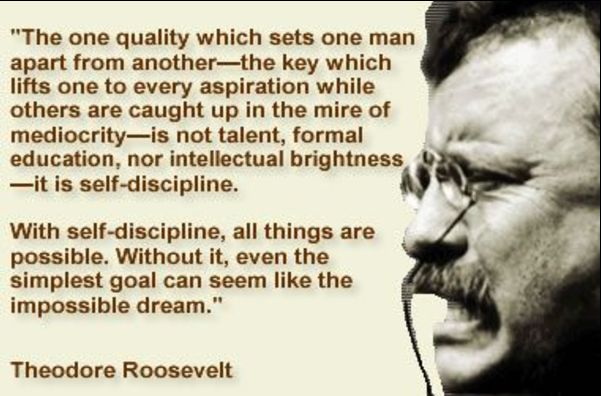 quotes by theodore roosevelt