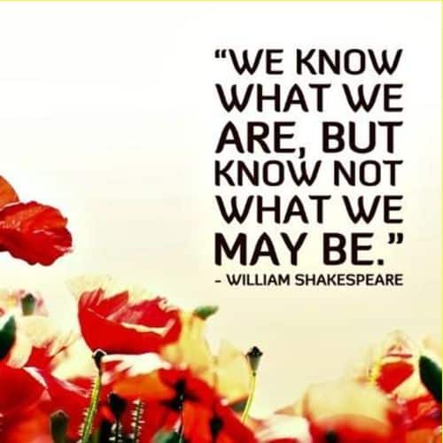 william shakespeare best quotes