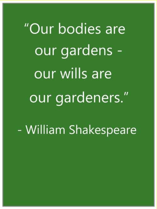 william shakespeare quotes tumblr