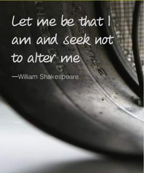 william shakespeare quotes on life